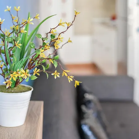 דירה Apartamento Ayla 2 פלאיה קמדה